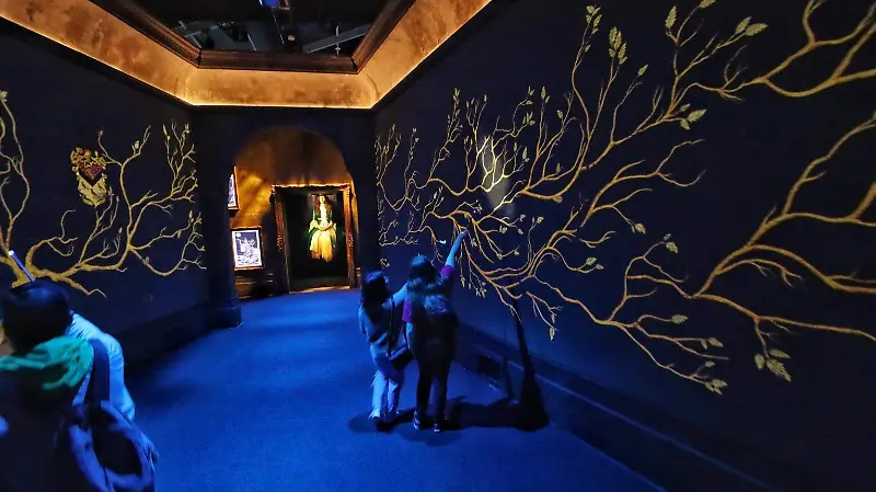 Harry Potter: Visions of Magic